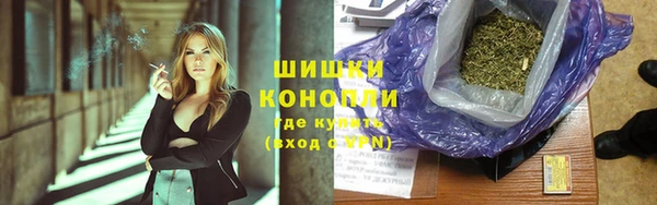индика Медногорск