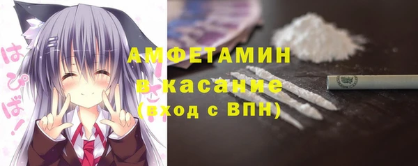 индика Медногорск