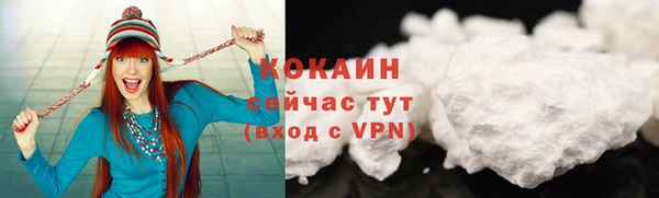индика Медногорск
