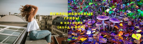 ПСИЛОЦИБИНОВЫЕ ГРИБЫ Майский