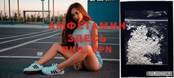индика Медногорск