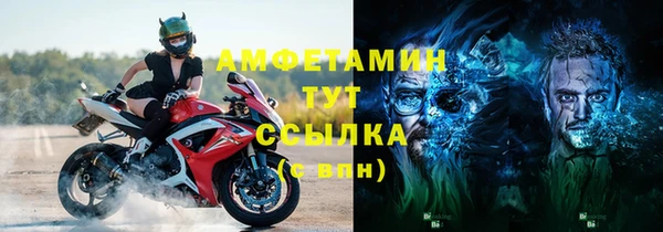 индика Медногорск