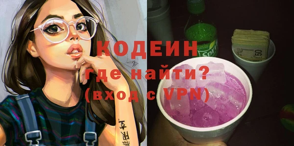 индика Медногорск