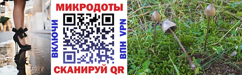 как найти закладки  Ступино  Псилоцибиновые грибы мицелий 