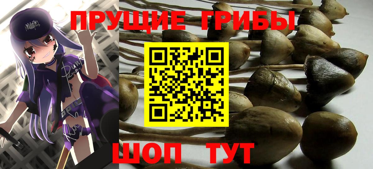 Ступино  Псилоцибиновые грибы мухоморы  Вход с VPN 