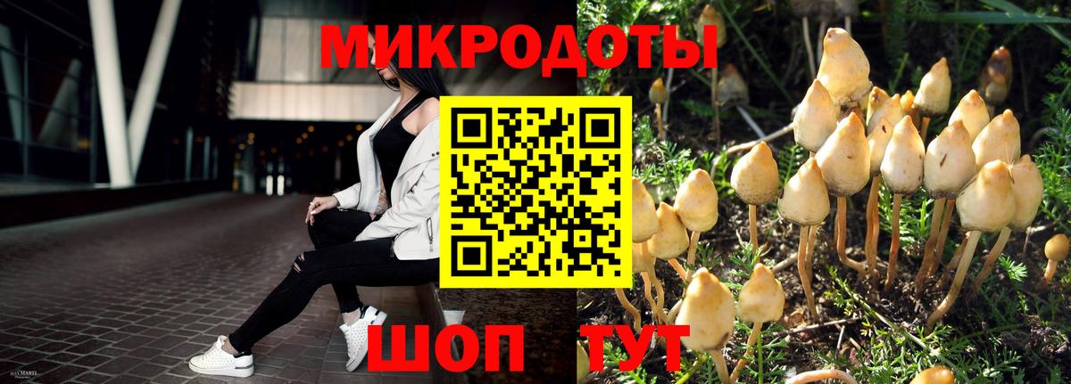 Псилоцибиновые грибы прущие грибы Ступино