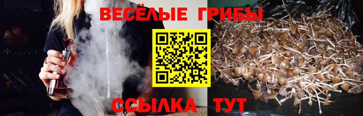 Галлюциногенные грибы GOLDEN TEACHER Ступино