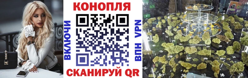 Бошки марихуана конопля  Ступино 